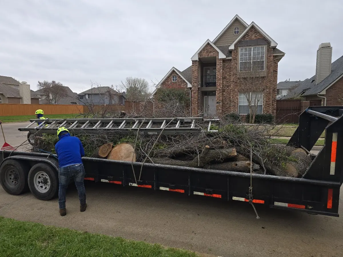 Expert Tree Pest Control with proper safety equipment in Waldorf